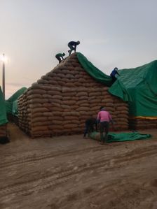 Canvas Tarpaulin