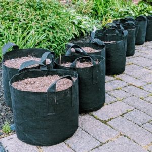 Plant Bags