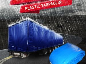 Plastic Tarpaulin