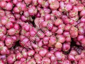 Fresh Red Onion