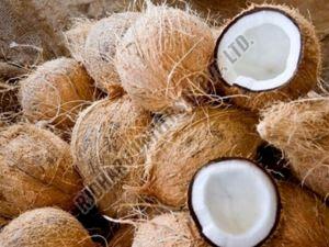 Fully Husked Coconut