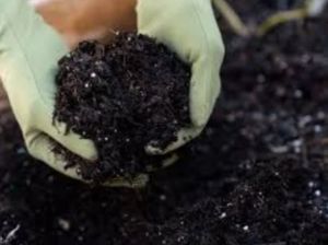 organic fertilizers testing