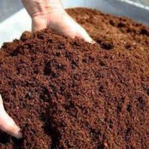 1Kg Cow Dung Powder