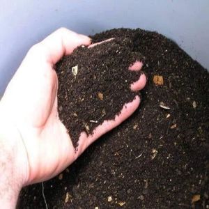 10kg Vermicompost Fertilize Powder