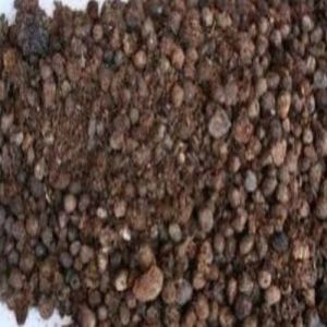 1Kg Goat Dung Manure