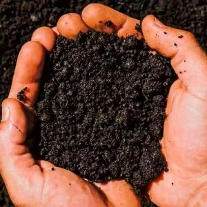 2kg Vermicompost Fertilize Powder