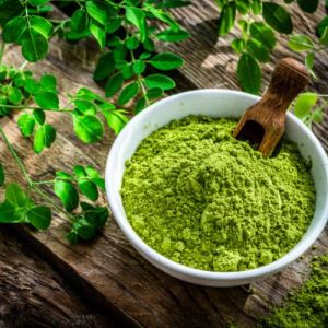 Dehydrated Moringa Powder