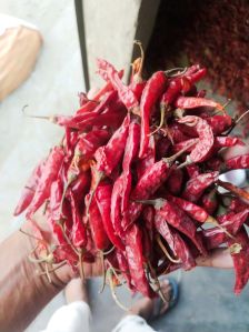 Dried Red Chili