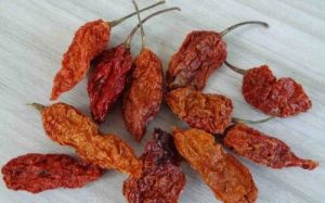 Bhut Jolokia Dry Red Chilli
