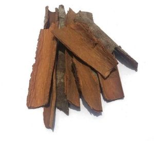 Split Cassia