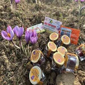 1 Gm Mission Kashmir Premium Kashmiri Saffron