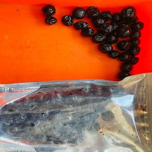 Dried Blueberries