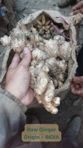 Raw Ginger