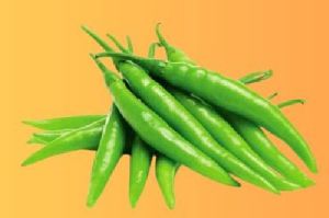 Fresh Green Chilli