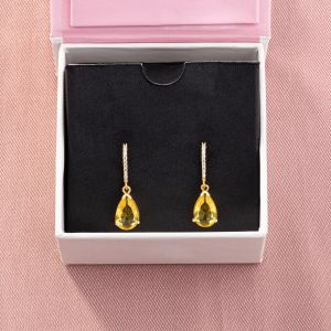 Ladies Designer Zircon Drop Earrings