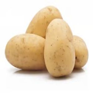 Fresh Brown Potato