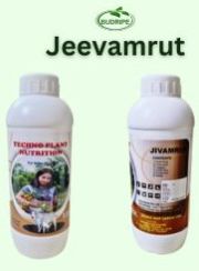 Jeevamrut Natural Liquid bio-fertilizer