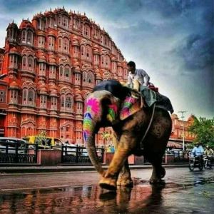 Jaipur Sightseeing Taxi