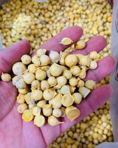 Kashmiri Mountain Garlic