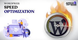 WordPress Speed Optimization Services