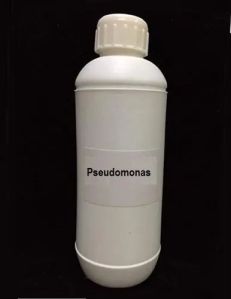 Pseudomonas Fluorescens