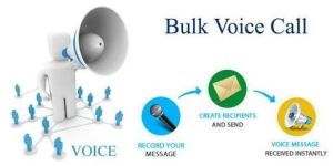 Bulk Voice Call Service