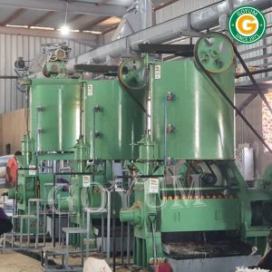 Cottonseed Oil Expeller