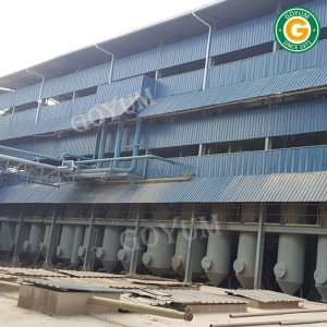 Shea Butter Solvent Extraction Plant