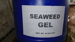 Seaweed Gel Fertilizer