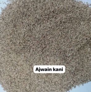 Ajwain Kani