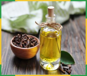Clove Oil