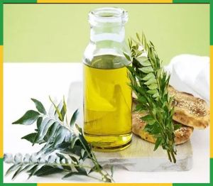 Curry Leaves Oil