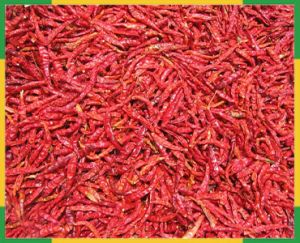Dried Red Chilli