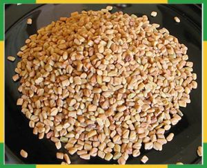 Fenugreek Seeds