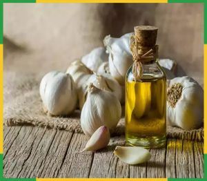 Garlic Oil