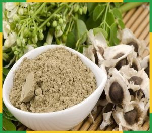moringa powder