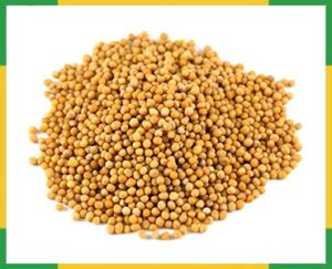 Mustard Seeds
