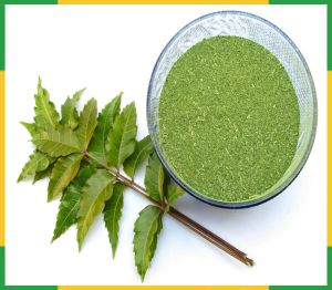 Neem Powder