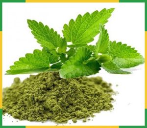 Tulsi Powder