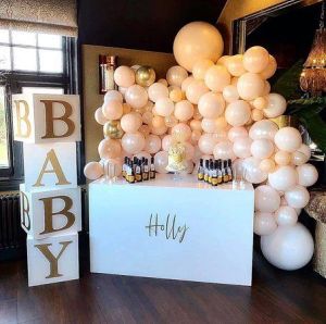 Baby Shower Venues Rental Service