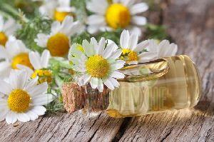 Chamomile Flower Oil