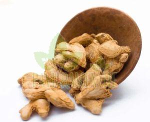 Dried Ginger