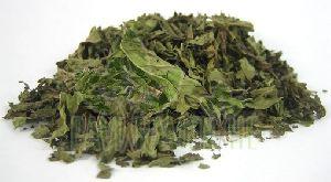 Mint Leaf