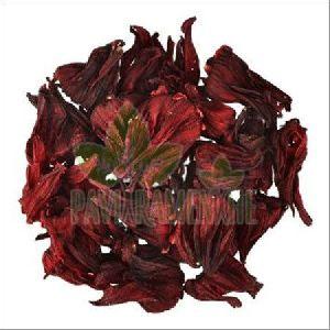 Hibiscus Sabdariffa