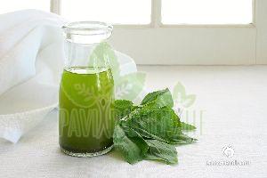 Holy Basil