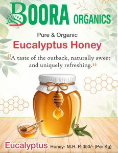 Eucalyptus Honey