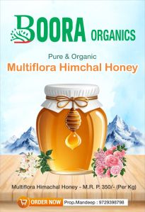 Himachal Multiflora Honey