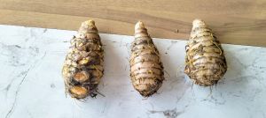 Selam Turmeric Seed