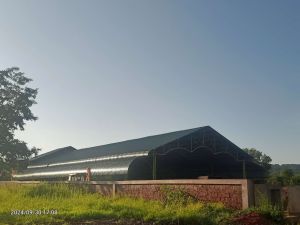 Double Skin Thermal Insulated Roofing Sheets