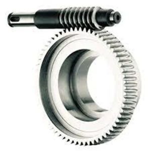 Worm Wheel Gear Casting